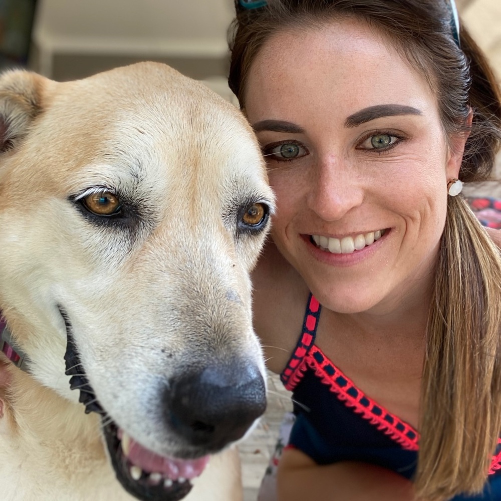 Meet your Posher, Ellen